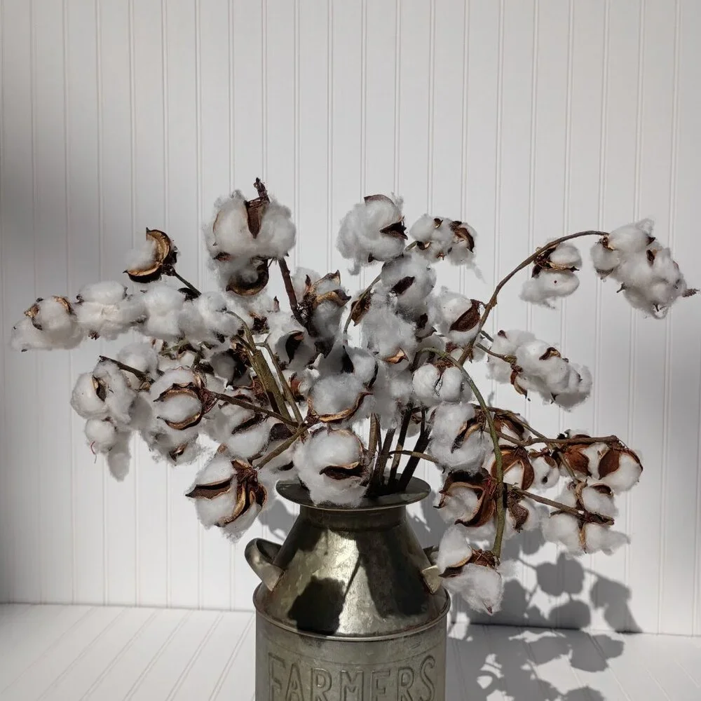 9 Pc Artificial Cotton Stems 24-26